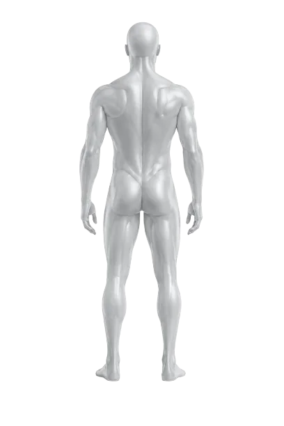 Back body application areas